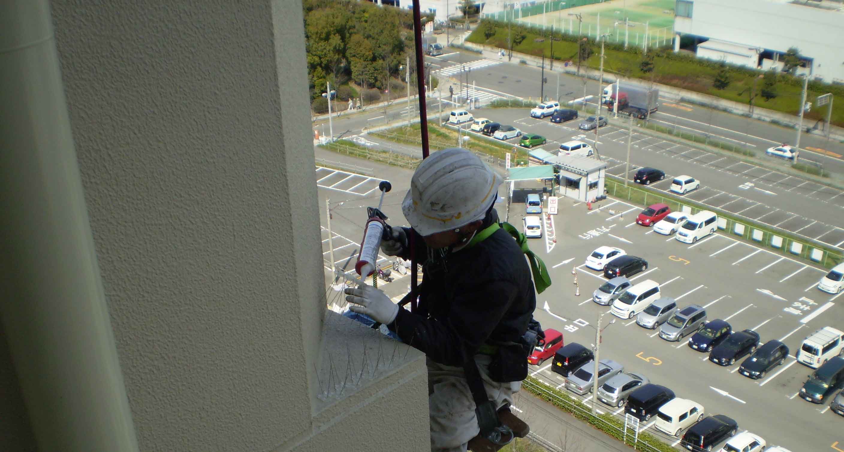 京都を拠点にどこへでも！鳥害対策なら i-style（アイスタイル）